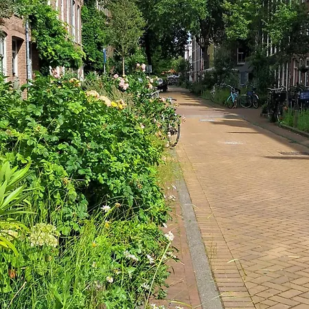 Maison d'hôtes The Superstay Boutique Guestroom Amsterdam